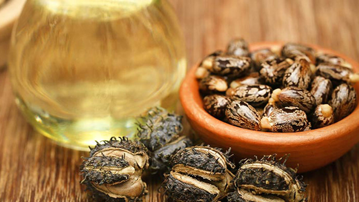 Feeling Constipated? Here’s How You Can Use Castor Oil To Relive